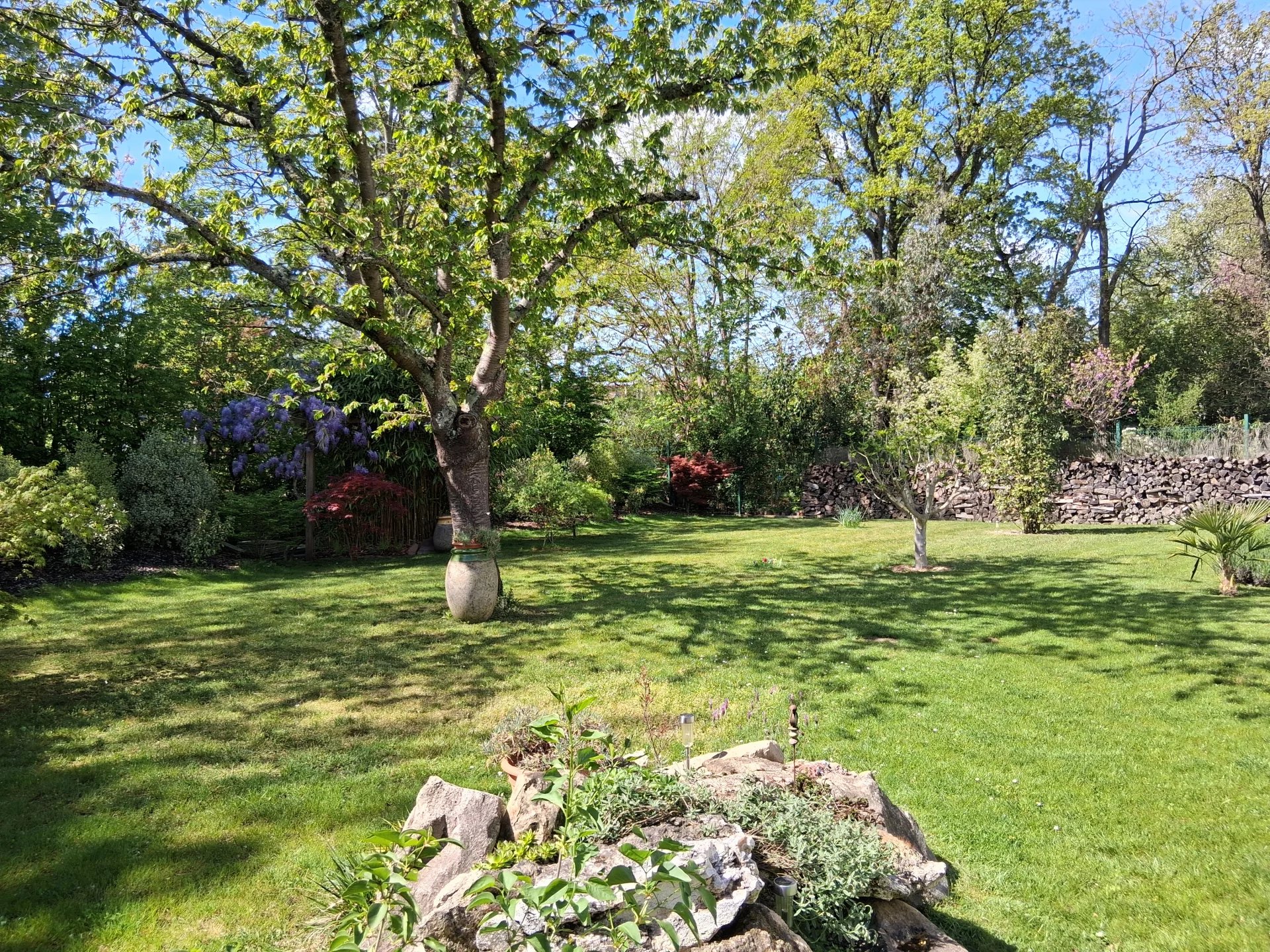 Sale Property Le Vésinet