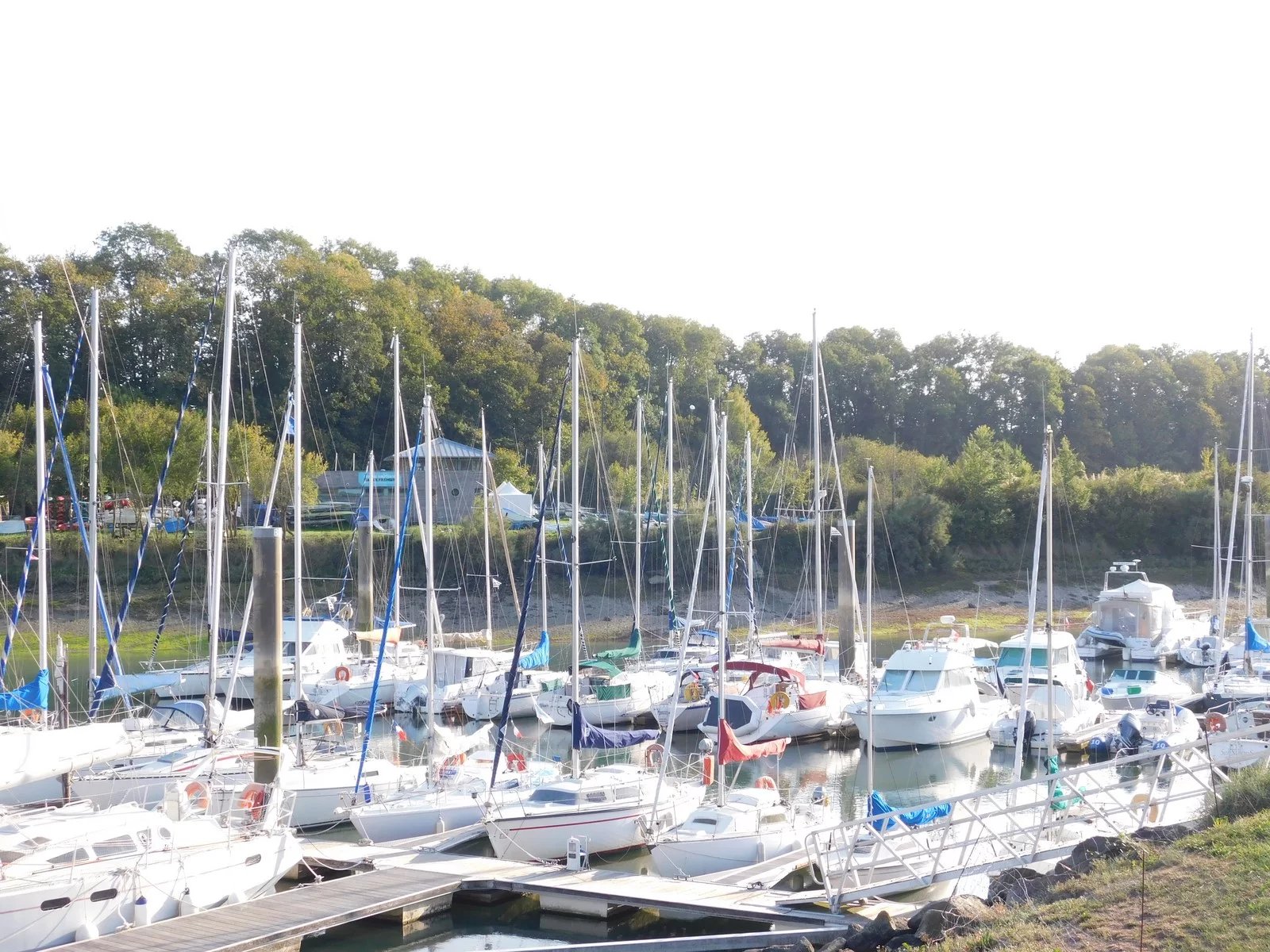 PLOUER SUR RANCE–EXCLUSIVITE RANCE IMMO