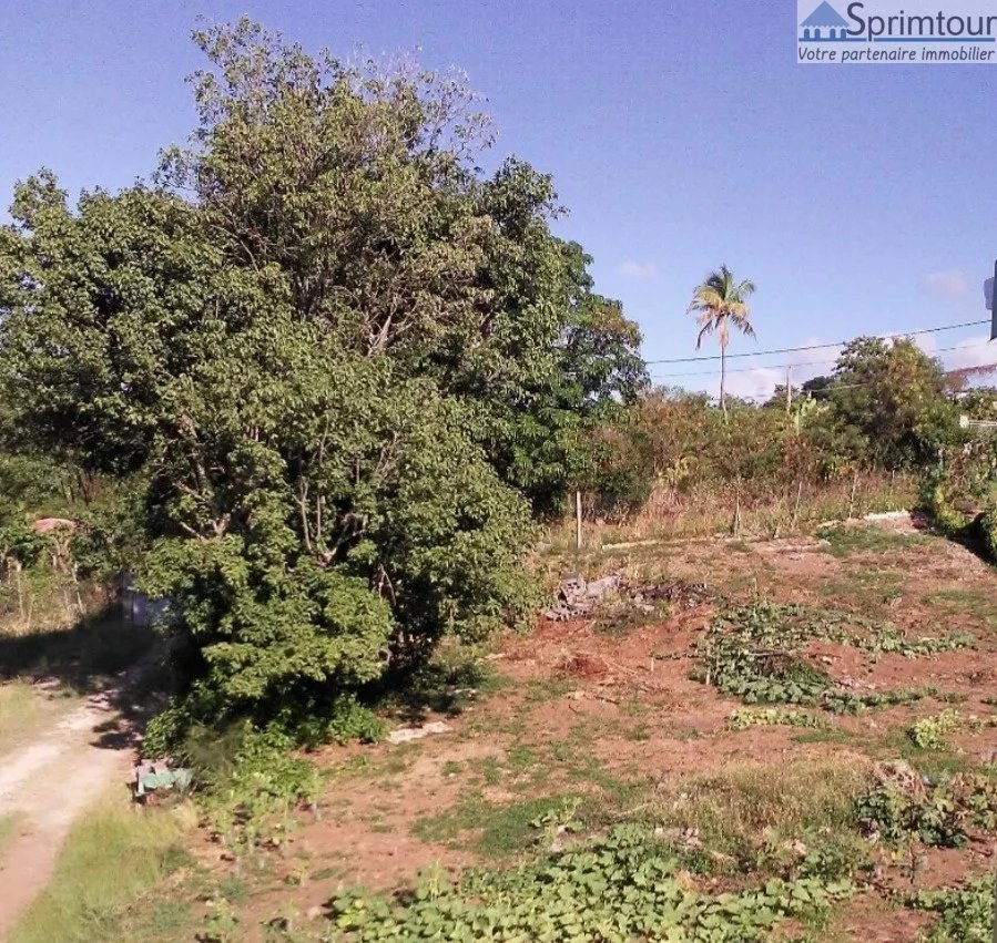 Ne passez pas à côté de ce Beau terrain de 1000 m2 avec vue
