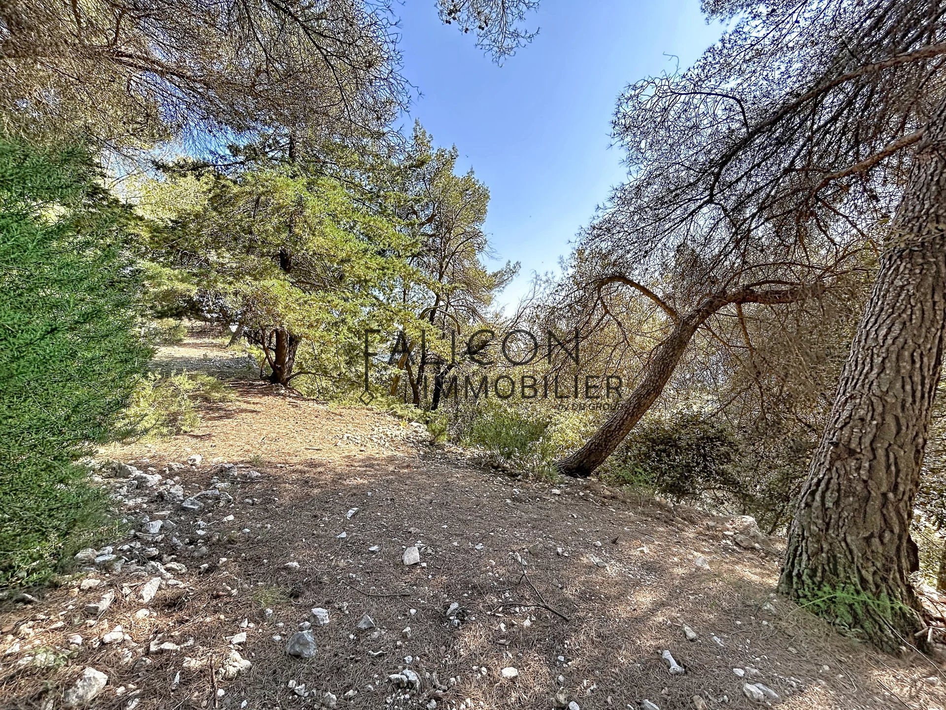Terrain constructible Falicon - Photo 2