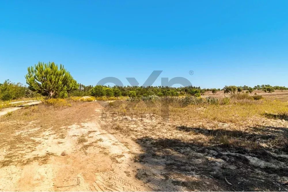 Unmissable Investment in Odemira 85507464 image 2