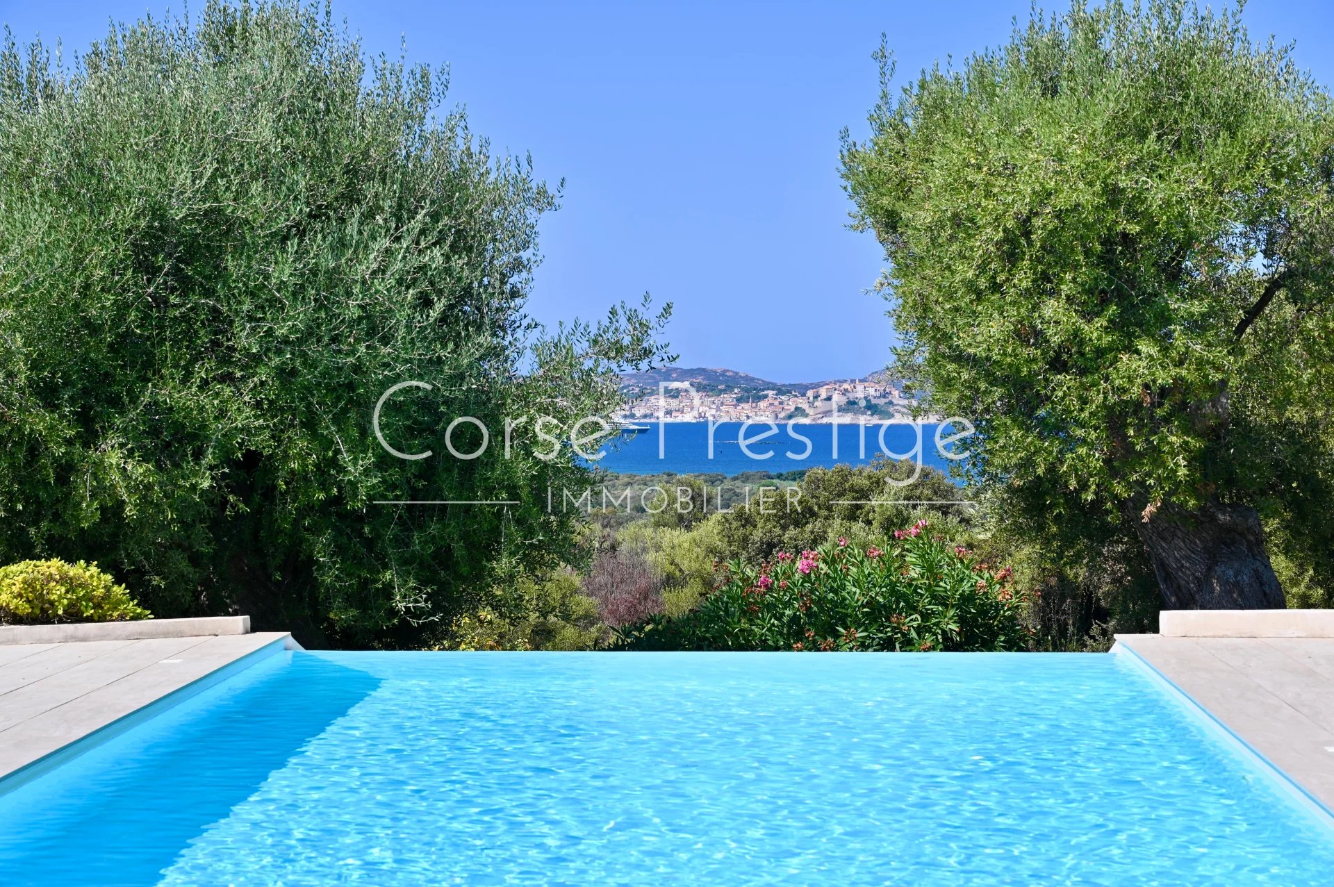 for sale - villa with pool - lumio - north corsica image6