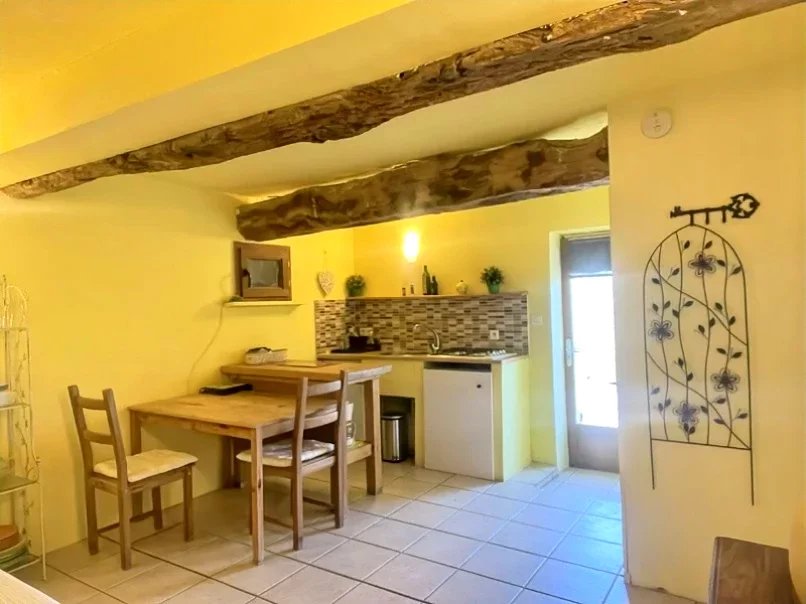 Maison d'hôtes à vendre L'Isle-en-Dodon, Haute-Garonne