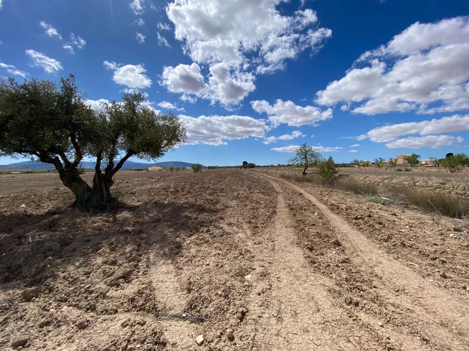 Vente Terrain Pinoso