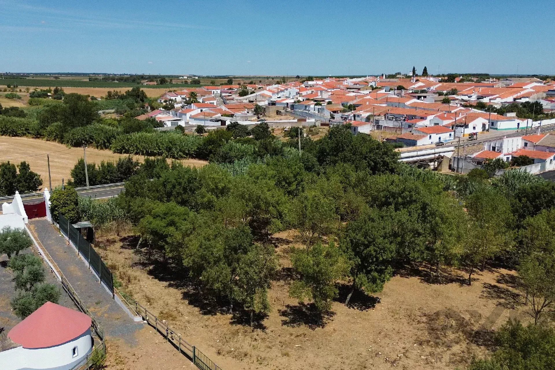 Luxury Equestrian Property + Guest House 85992157 image 14