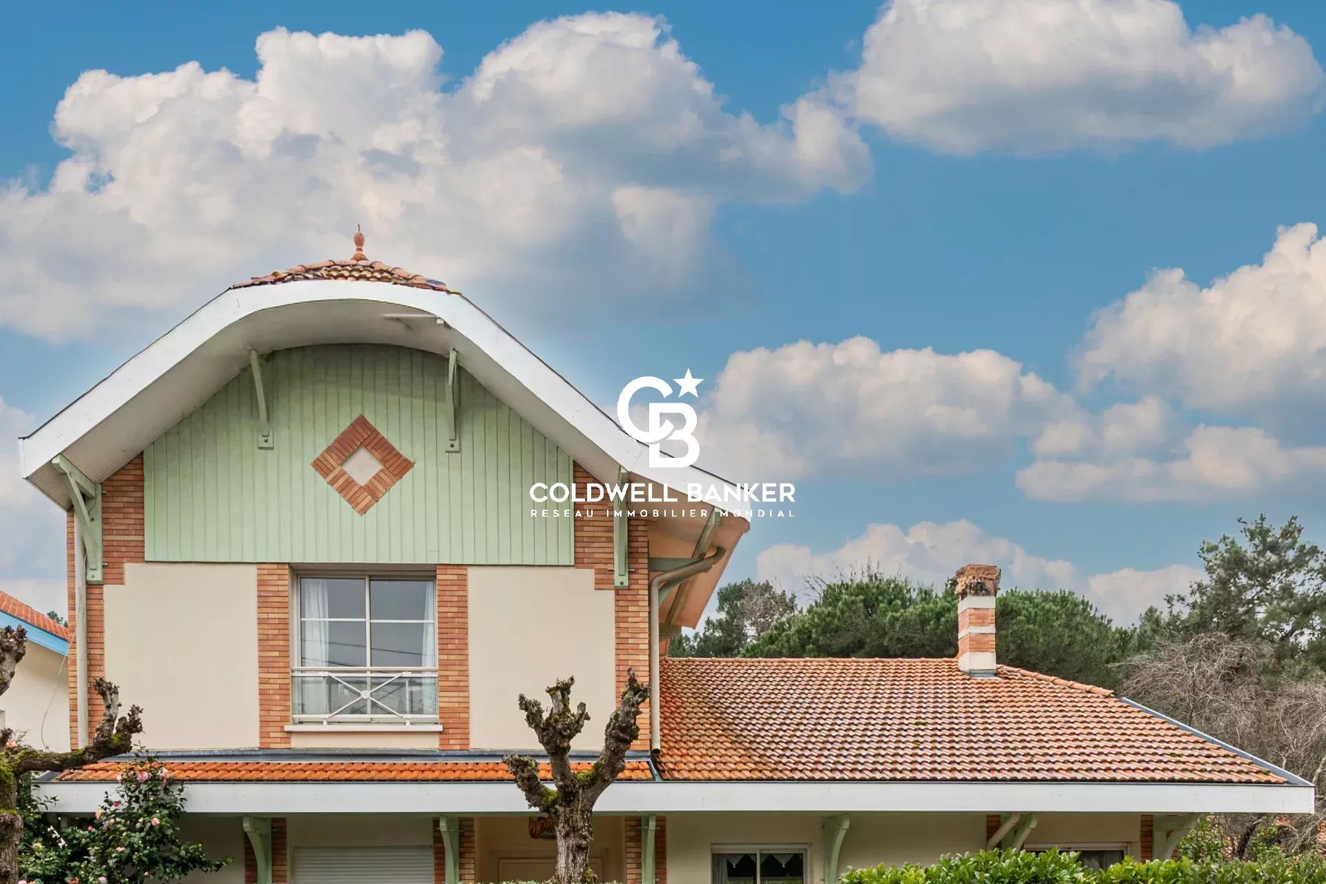 Agence immobilière de Silver Coast Int. Realty