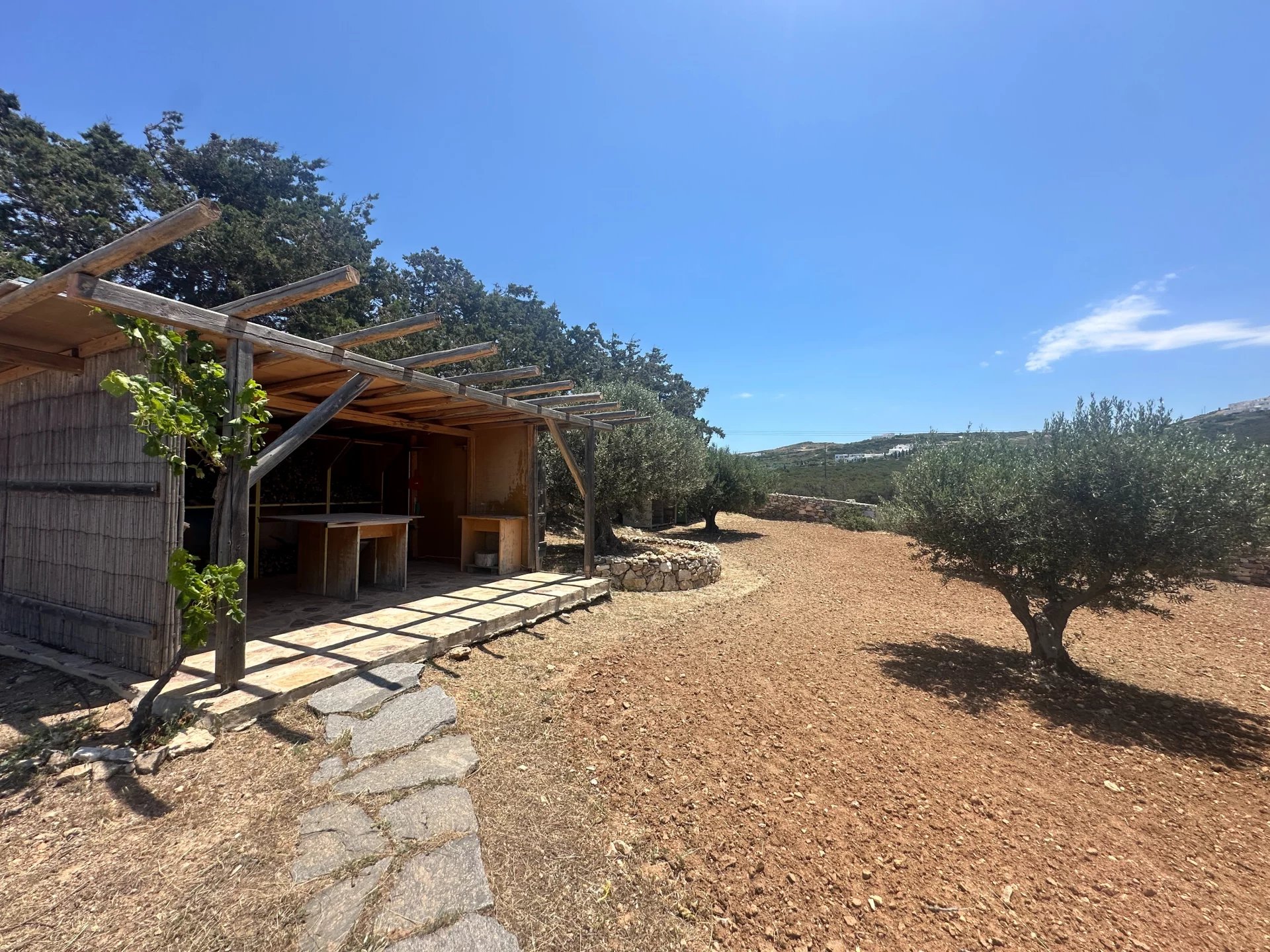 Εικόνα ιδιοκτησίας 96