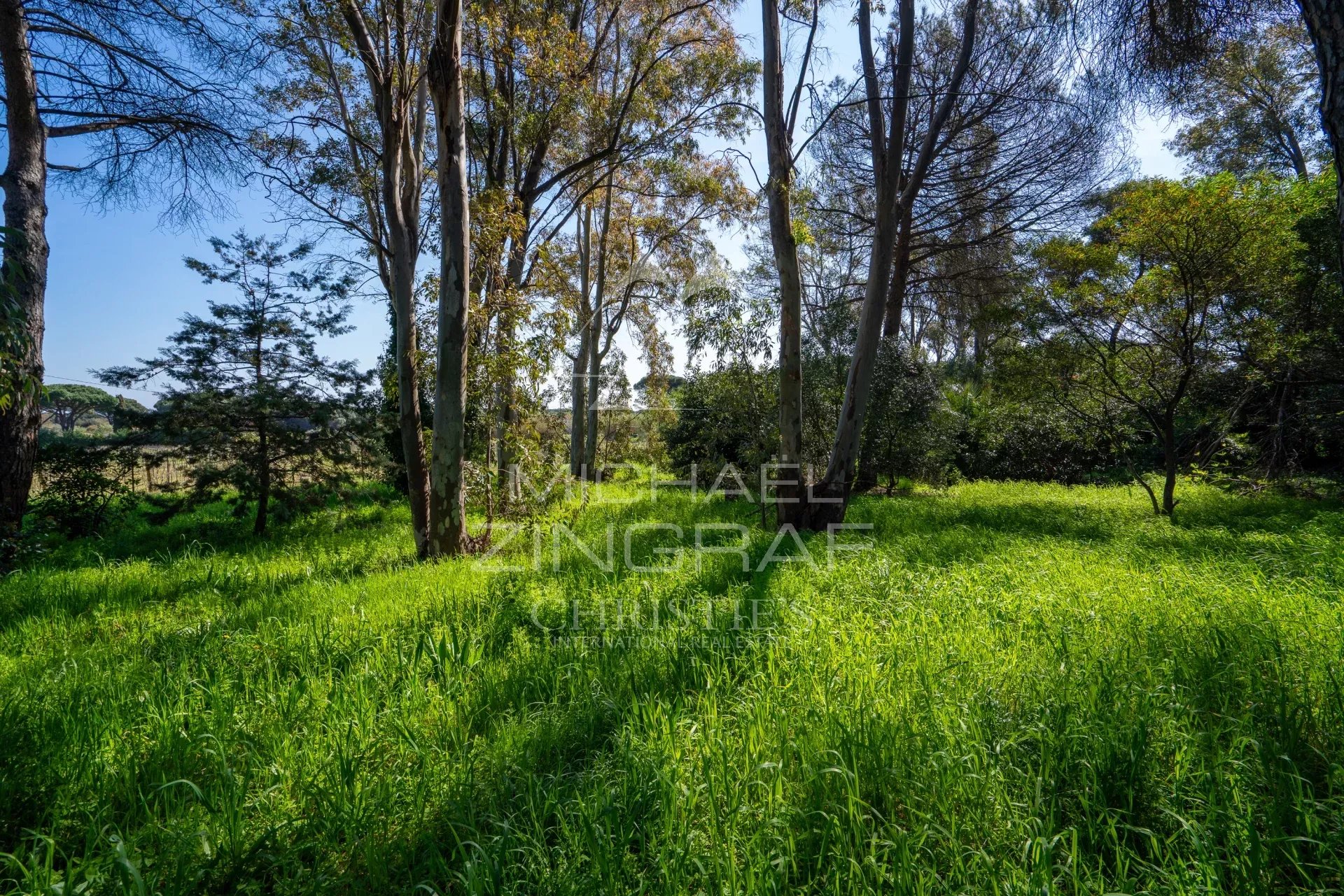 4 Bedroom Villa/Townhouse's Image 5