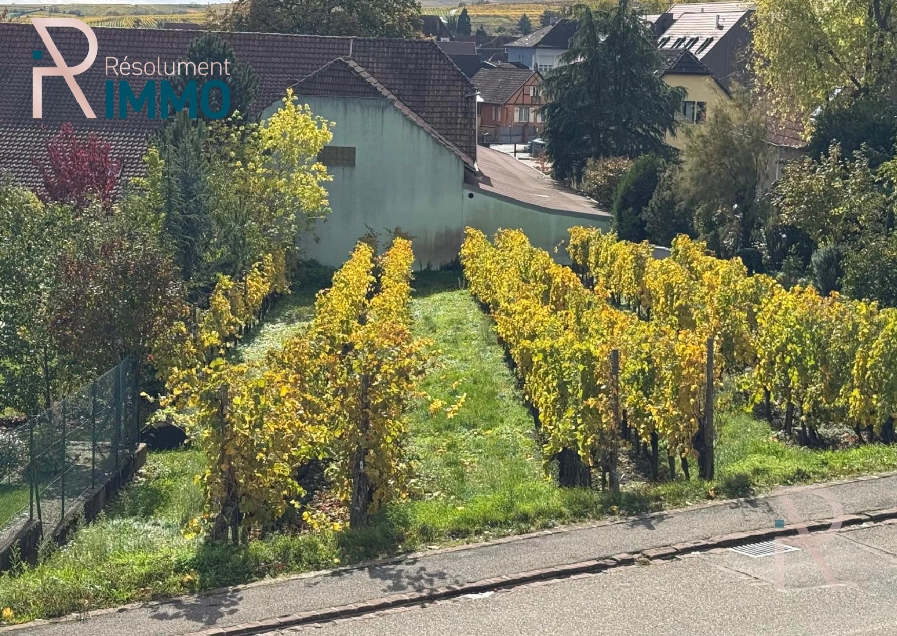 Agence immobilière de 