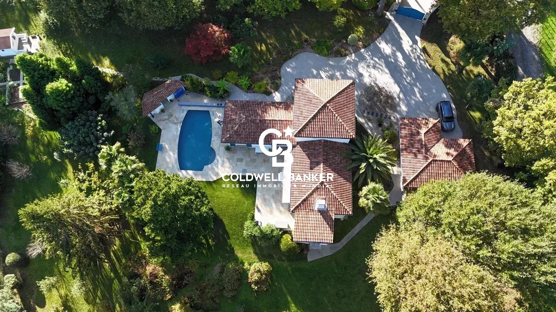 Agence immobilière de Coldwell Banker