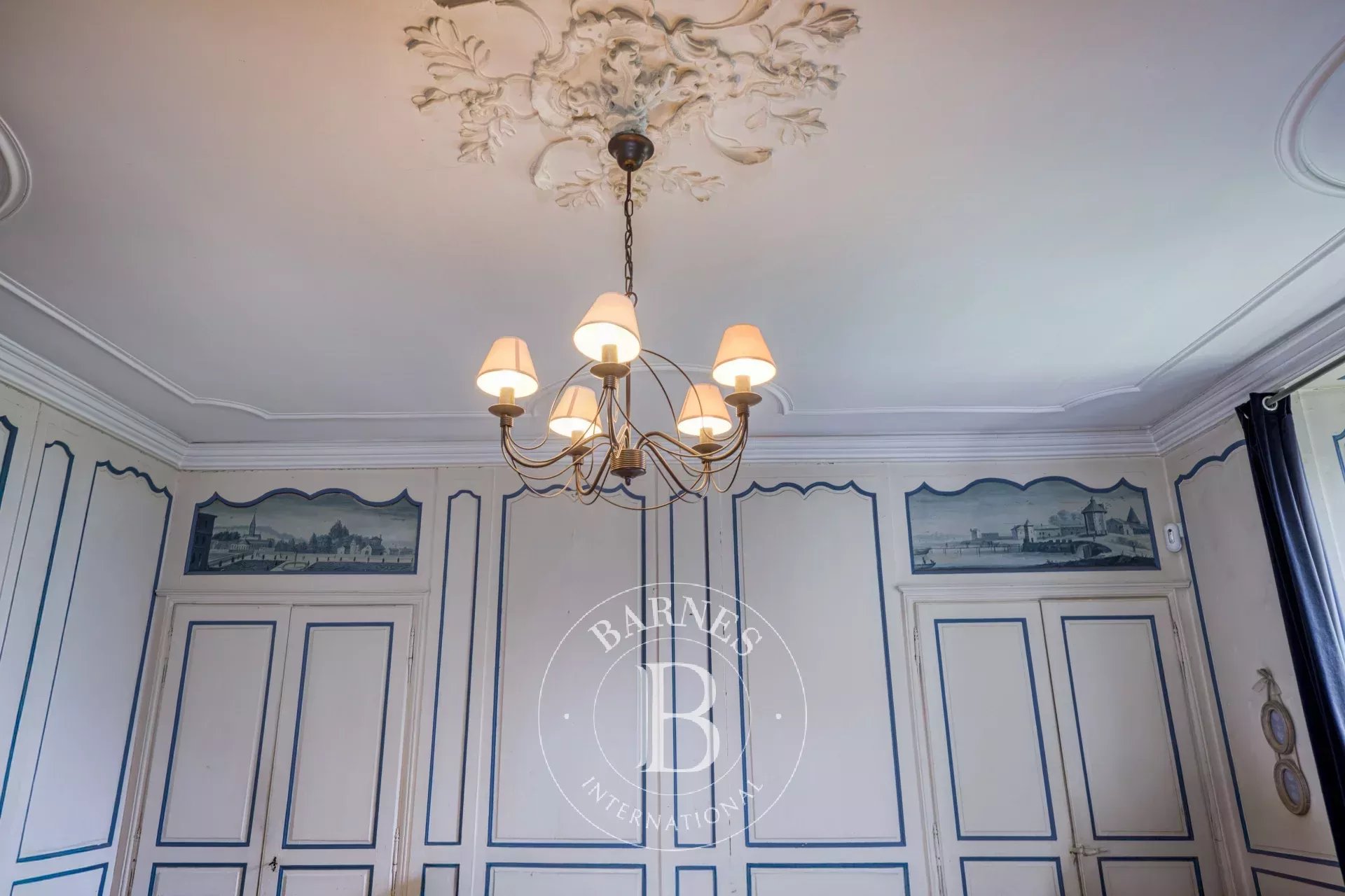 Ev Ornex - picture 16