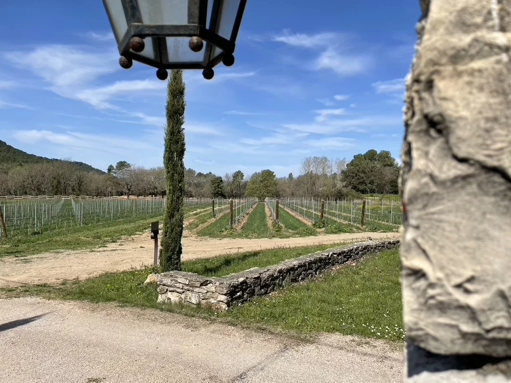Sale Vineyard property Tourtour