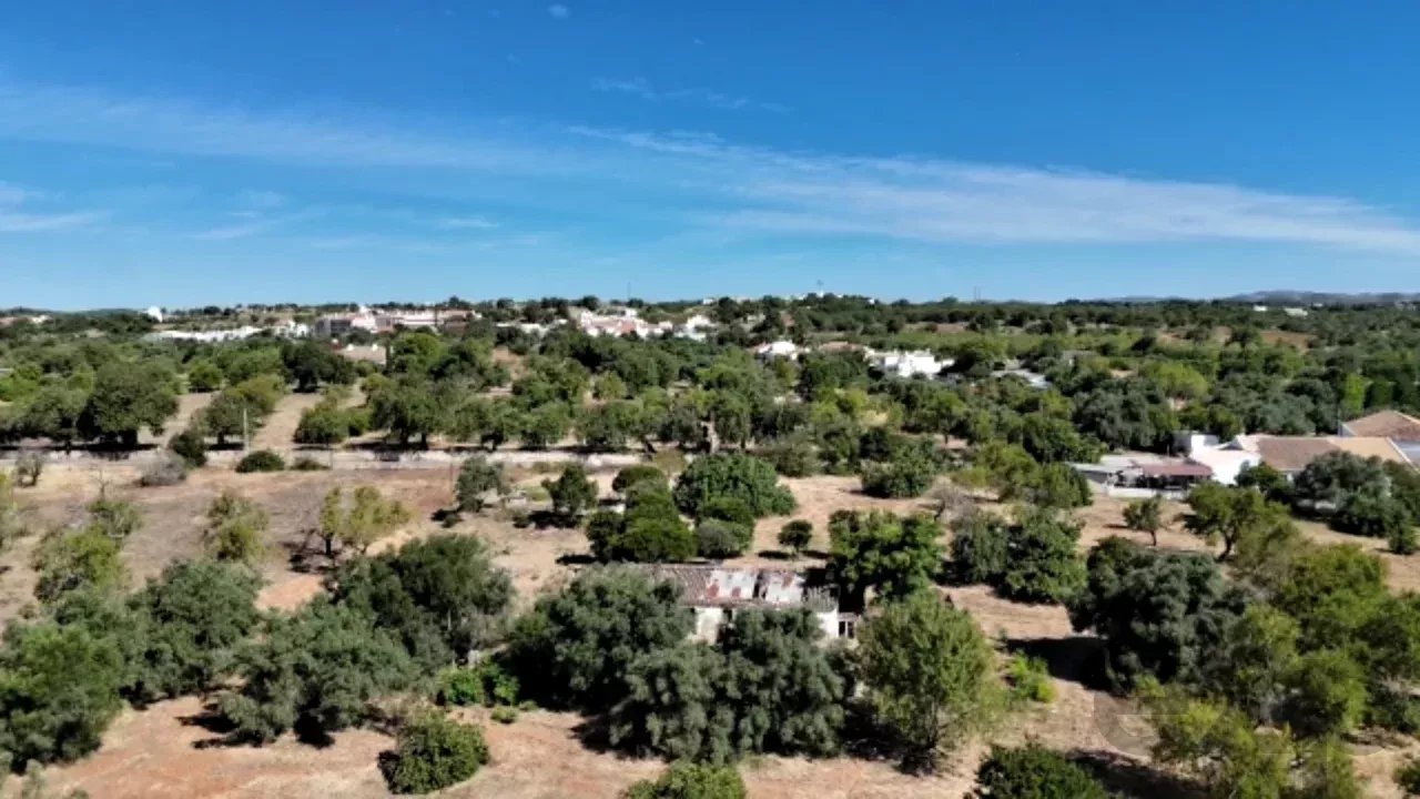 Traditional Countryside Property in Santo Estêvão, Tavira 87172633 image 5
