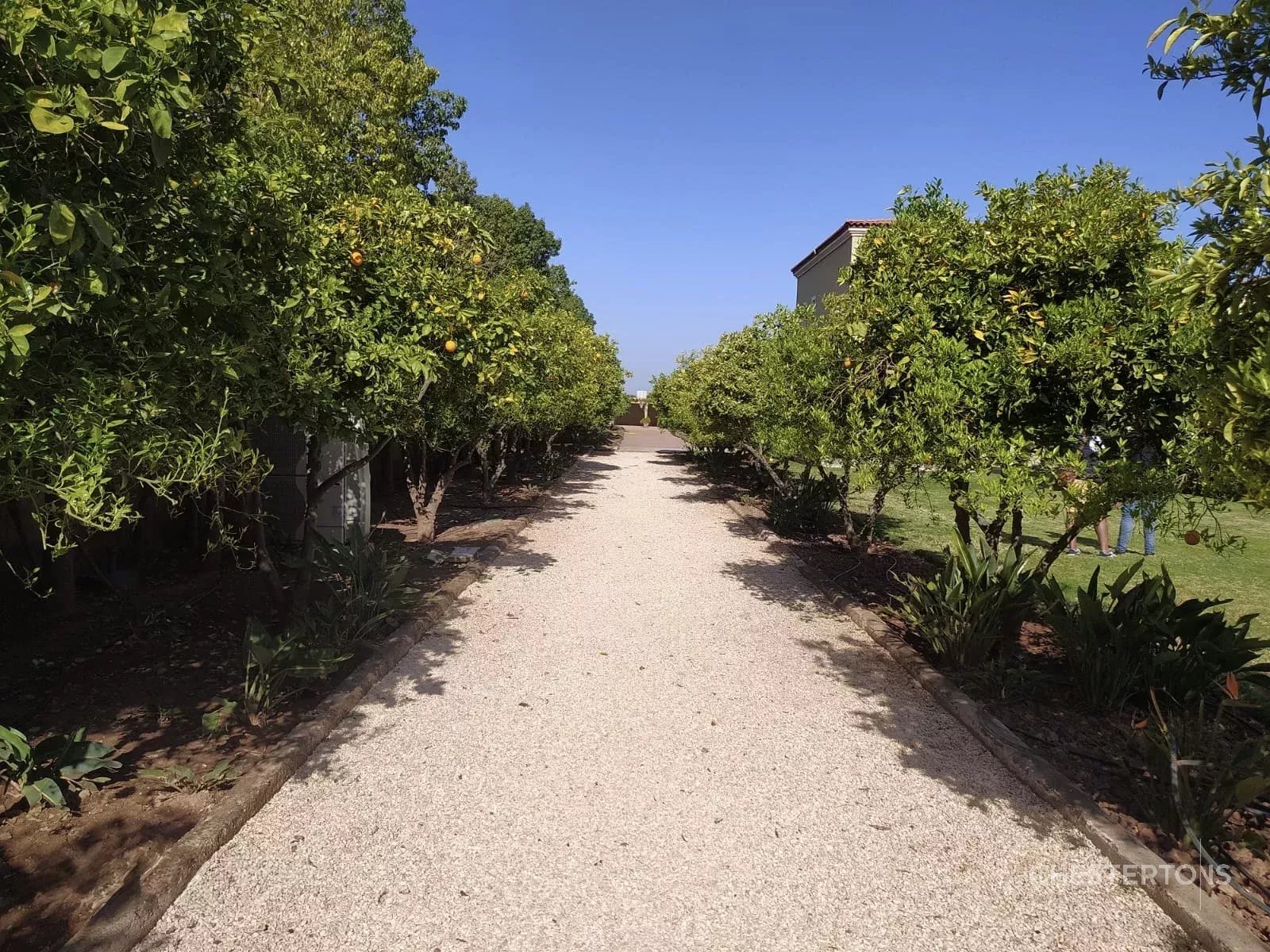 Image of Villa - 6 Bedrooms for Sale in Marrakech-Ménara-Marrakech-Morocco, Image 7
