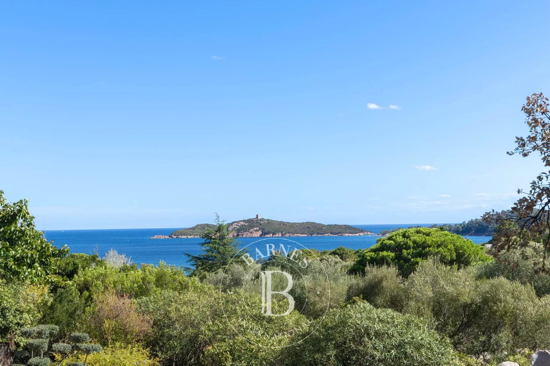 Propriété Zonza  -  ref 86209653 (picture 1)