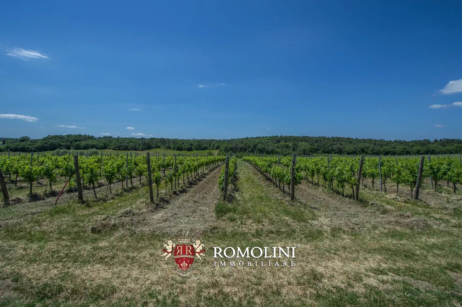 7 Bedroom Vineyard's Image 11