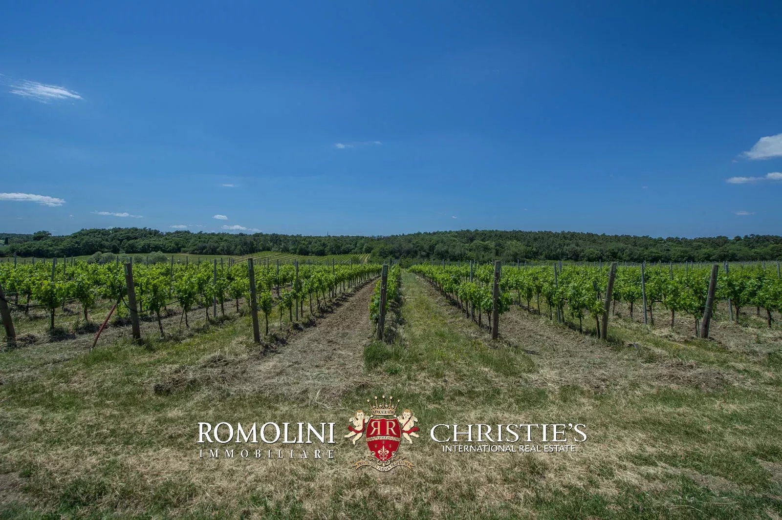 7 Bedroom Vineyard's Image 11