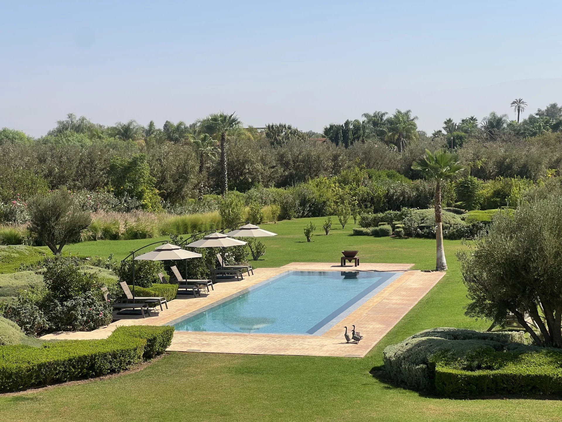 Sale Property Marrakesh