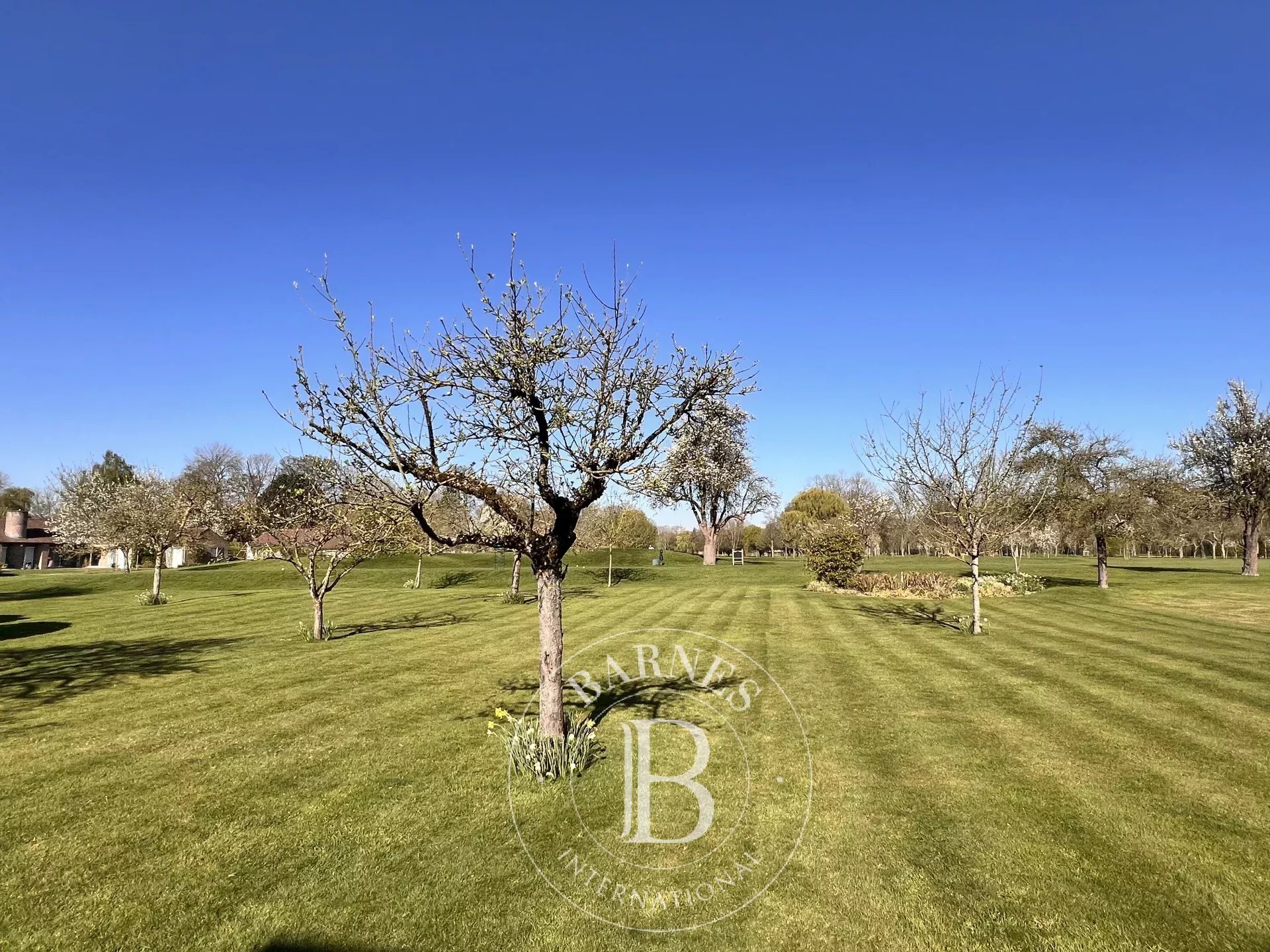 Maison Villeneuve-d'Ascq  -  ref 85592930 (picture 1)