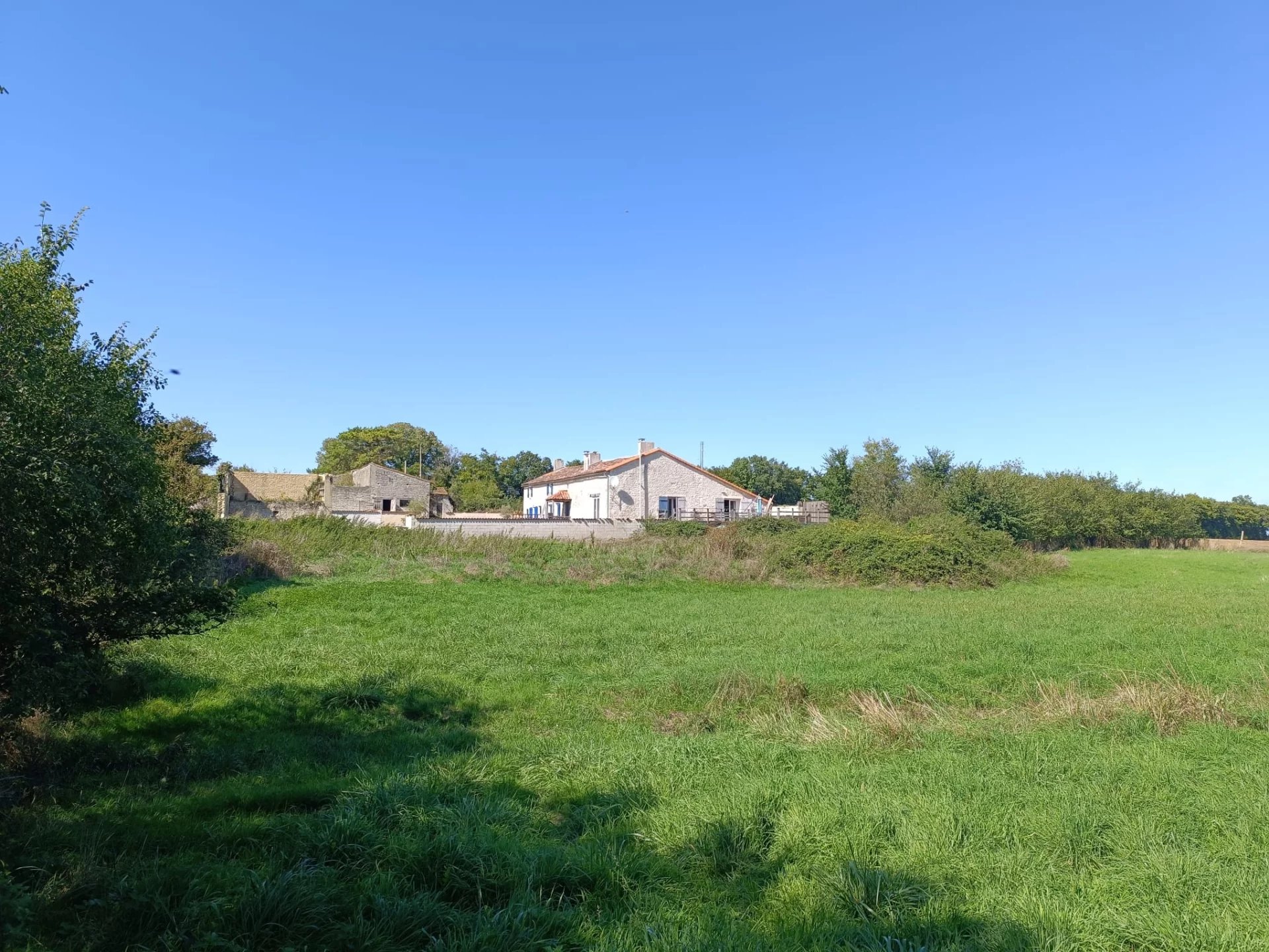 House in Chives - Image 3