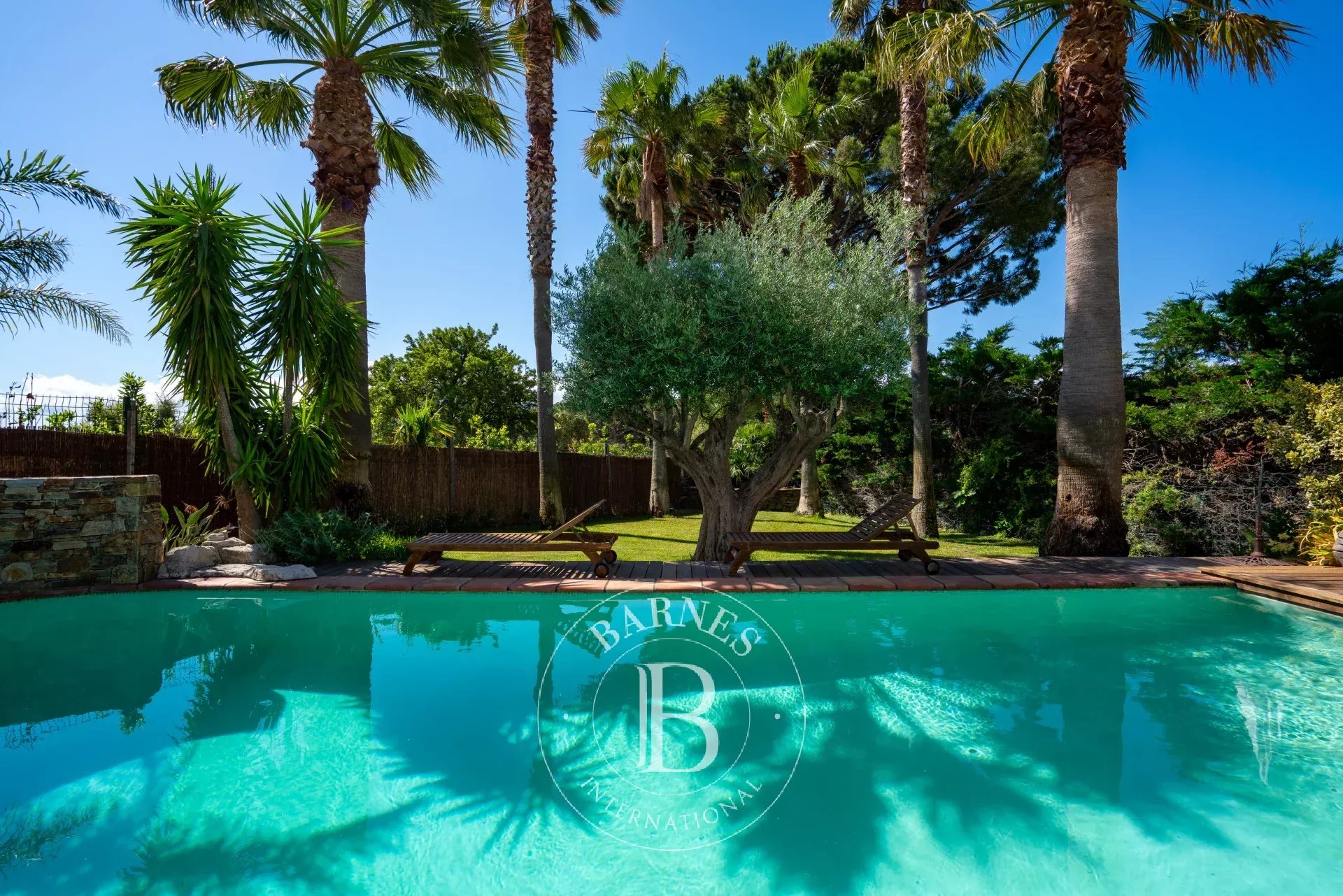 Ev Grimaud - picture 6