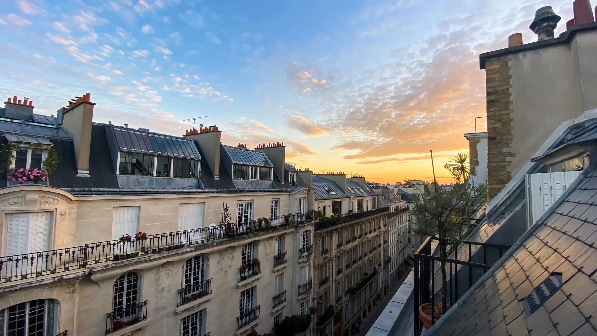 Agence immobilière de Actia Immobilier Prestige