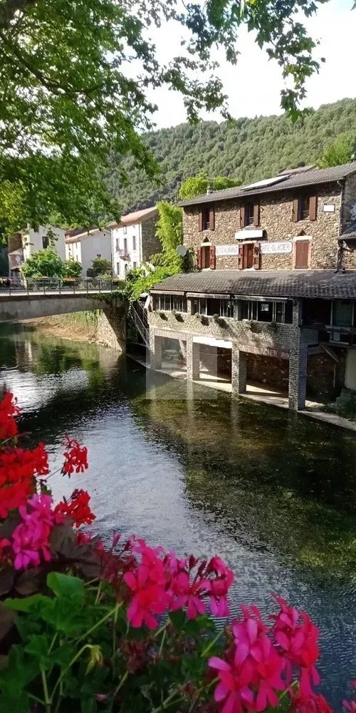 Agence immobilière de Pierres Des Cevennes