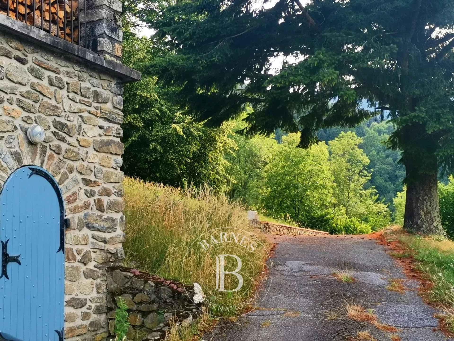 Mülkiyet Prats-de-Mollo-la-Preste - picture 14