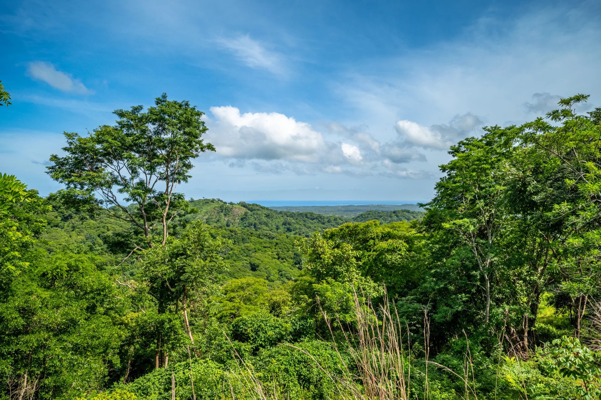 Venta Terreno Santa Cruz