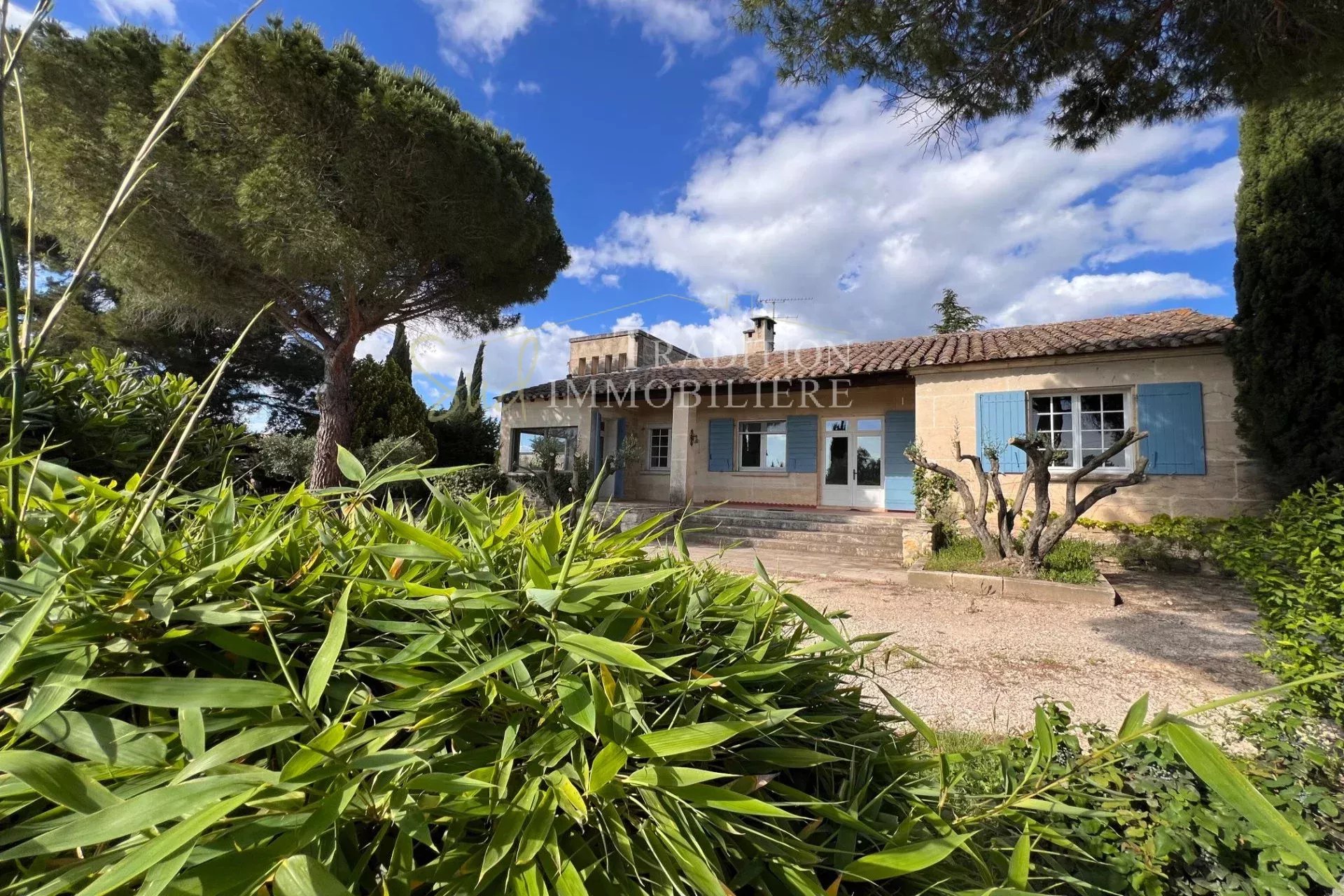 Agence immobilière de ZUNINO