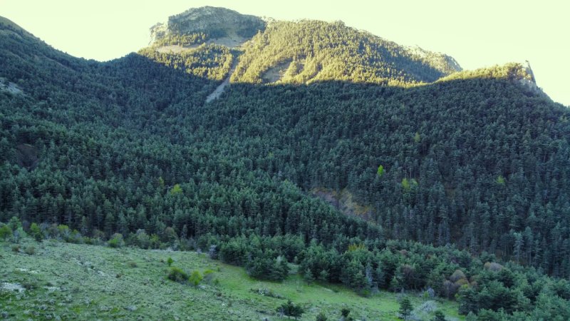 Zu verkaufen Jagdgebiet | Tartonne - picture 2