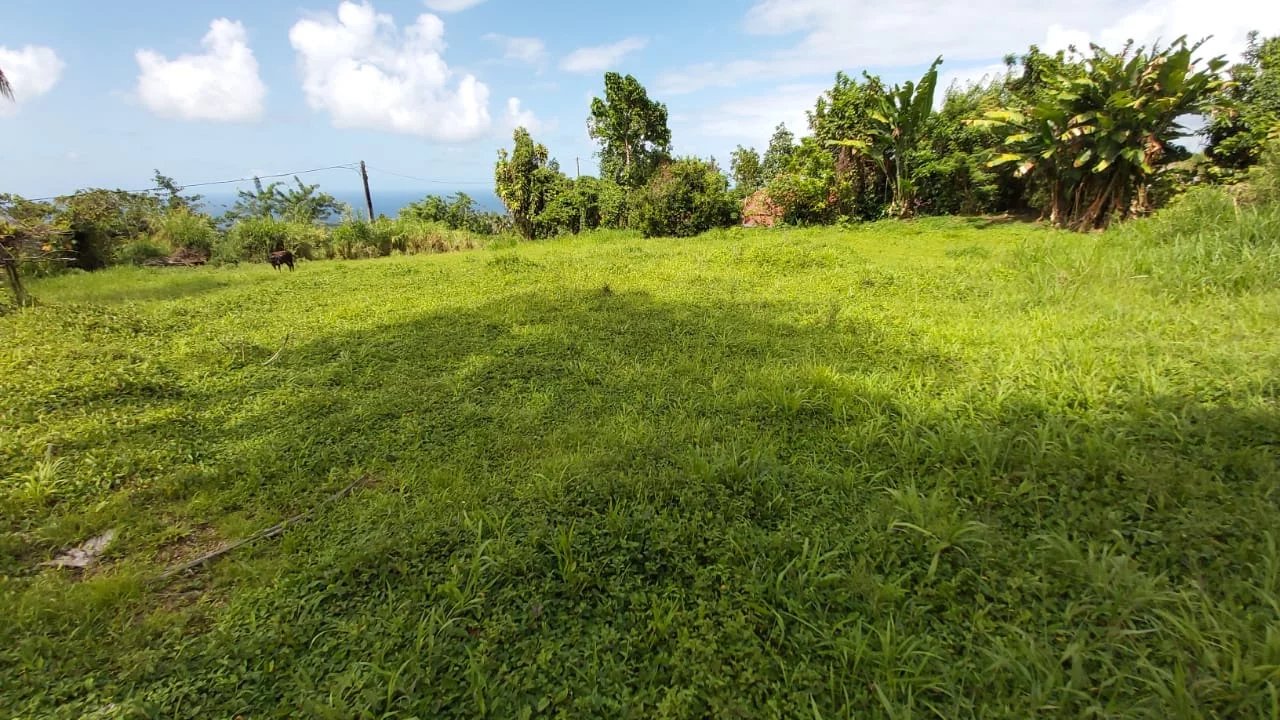 Vente Terrain constructible Basse-Pointe