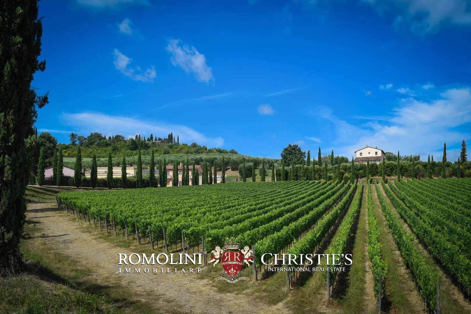15 Bedroom Vineyard's Image 14