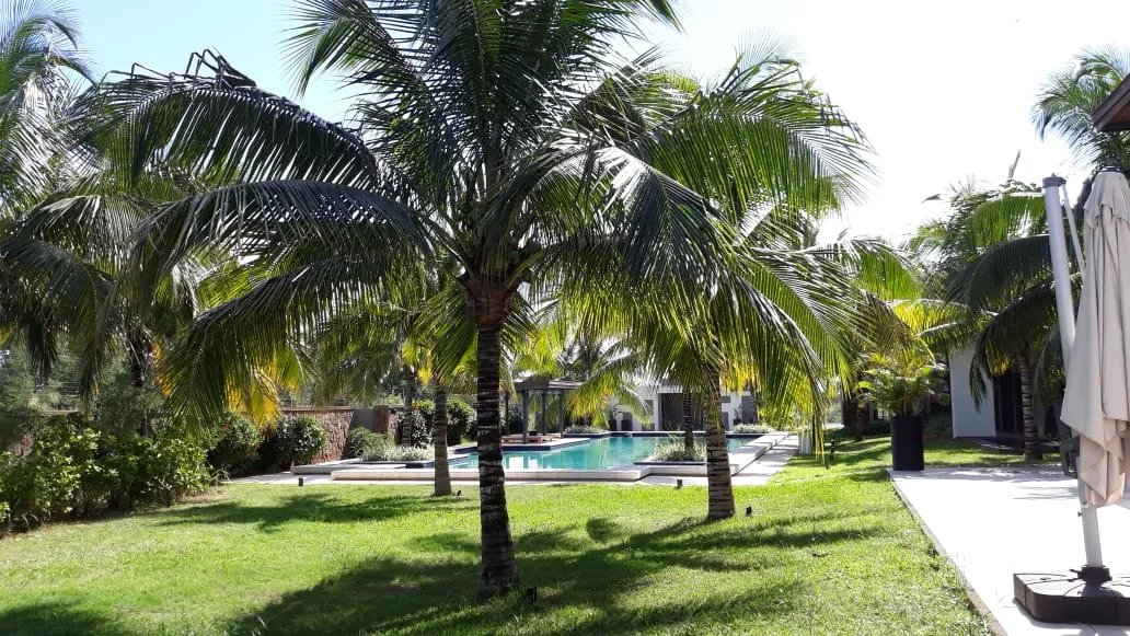 Daire Balaclava - picture 8