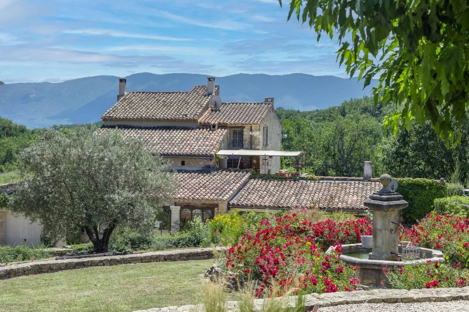 Authentic renovated farmhouse with swimming pool