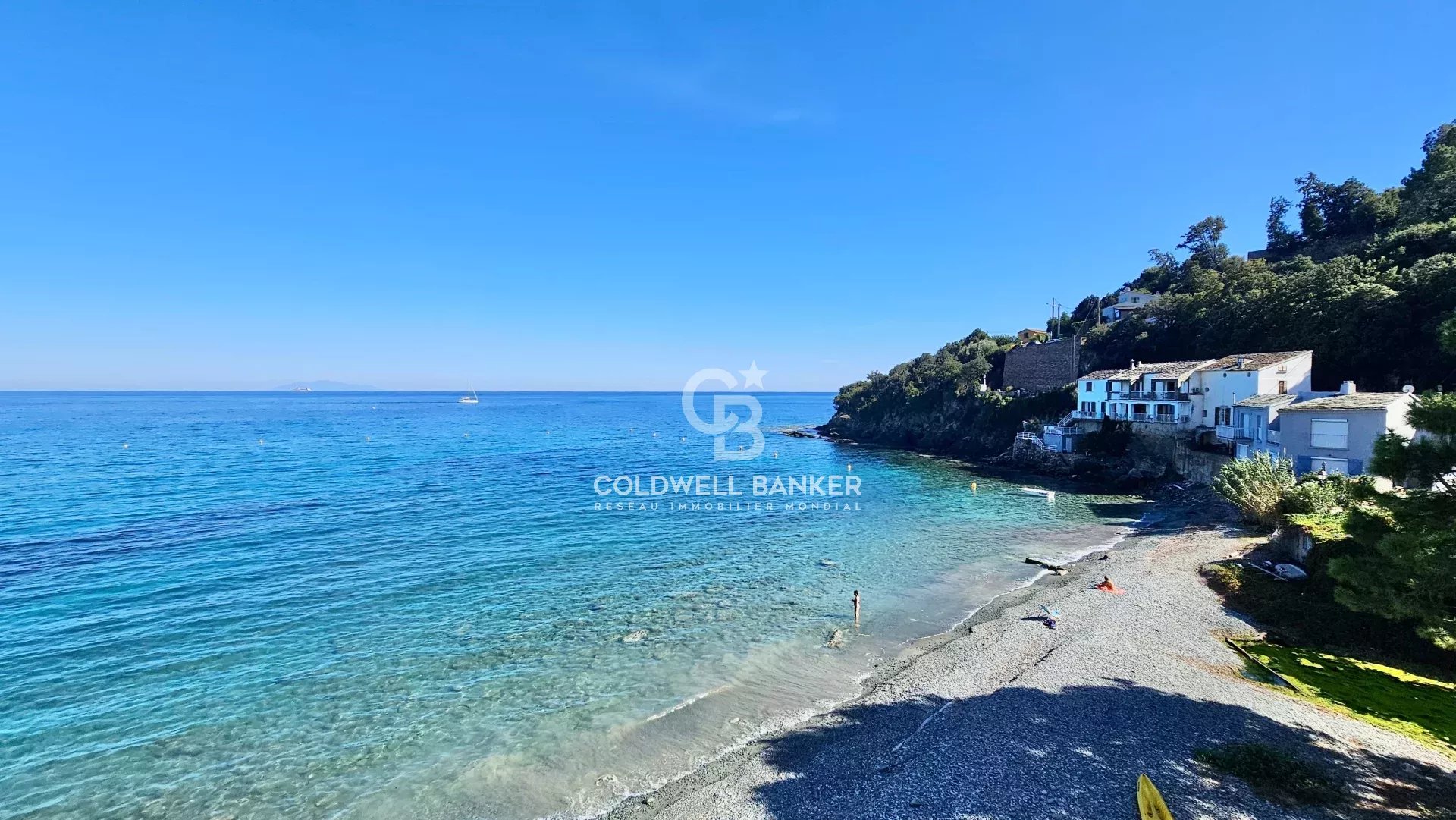 Agence immobilière de Coldwell Banker Allegrini Realty