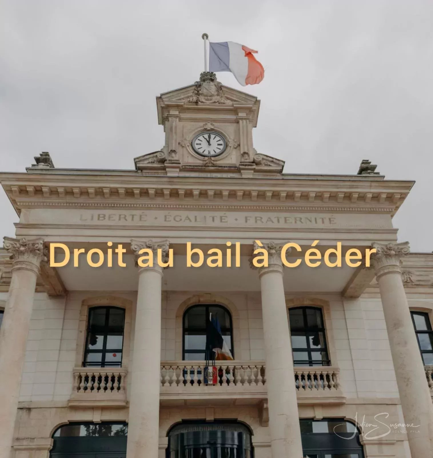 Agence immobilière de Côte d'Argent Immobilier