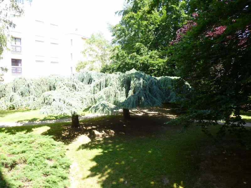 vente-appartement-5-pieces-sceaux-83874553
