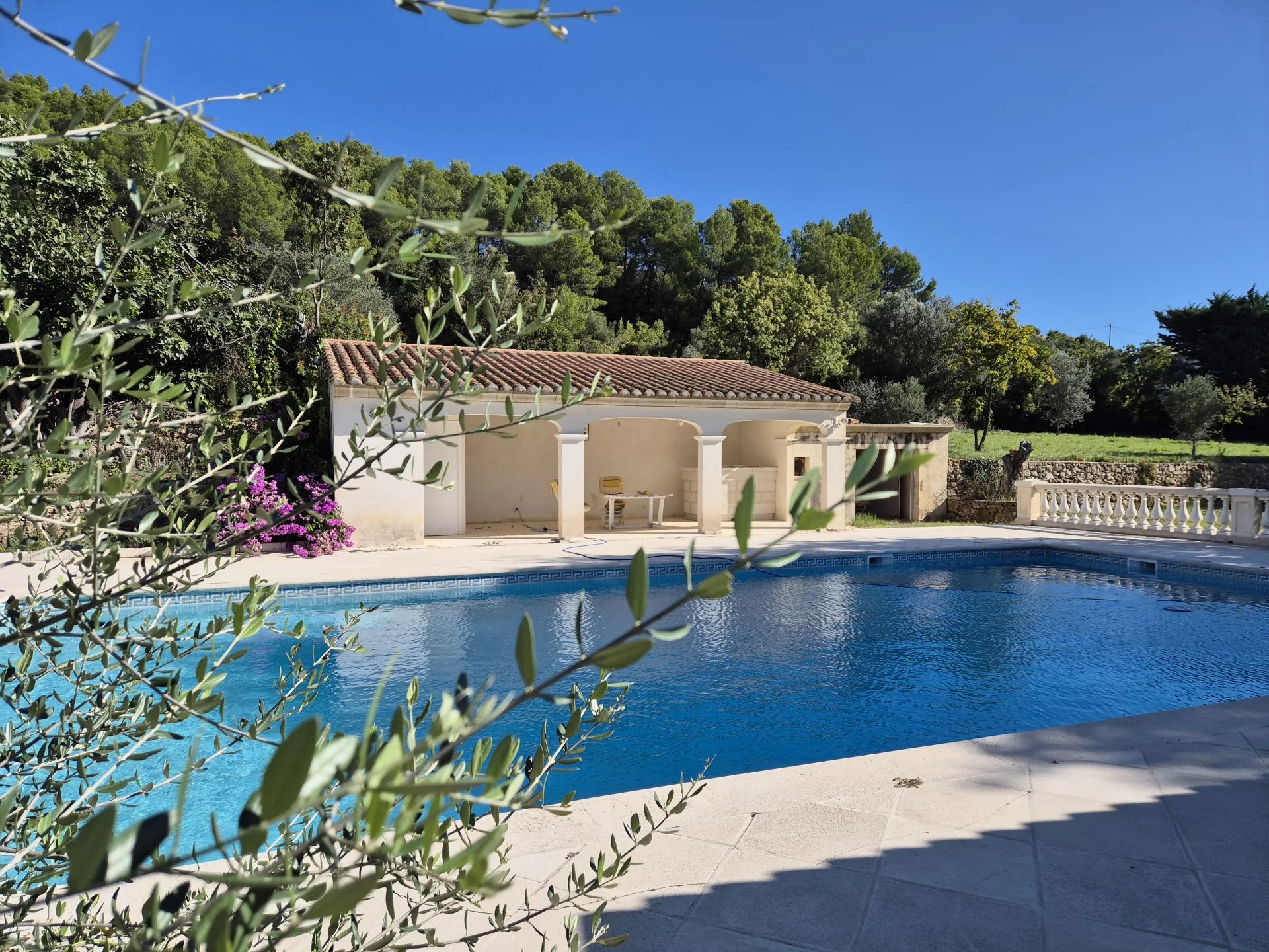SUPERB PROPERTY SETS ON APPROX 15578 M²