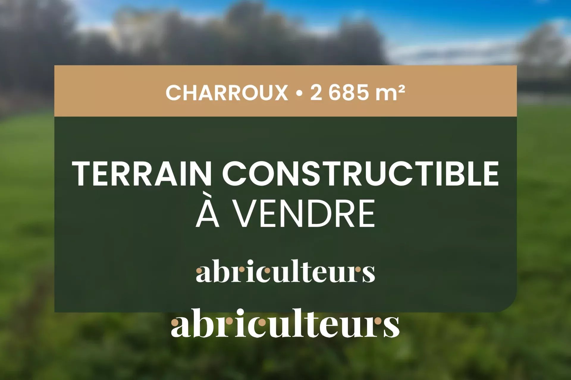 Agence immobilière de LES ABRICULTEURS