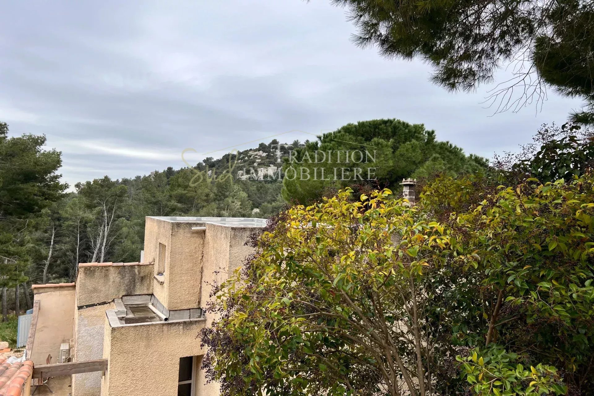 Agence immobilière de ZUNINO