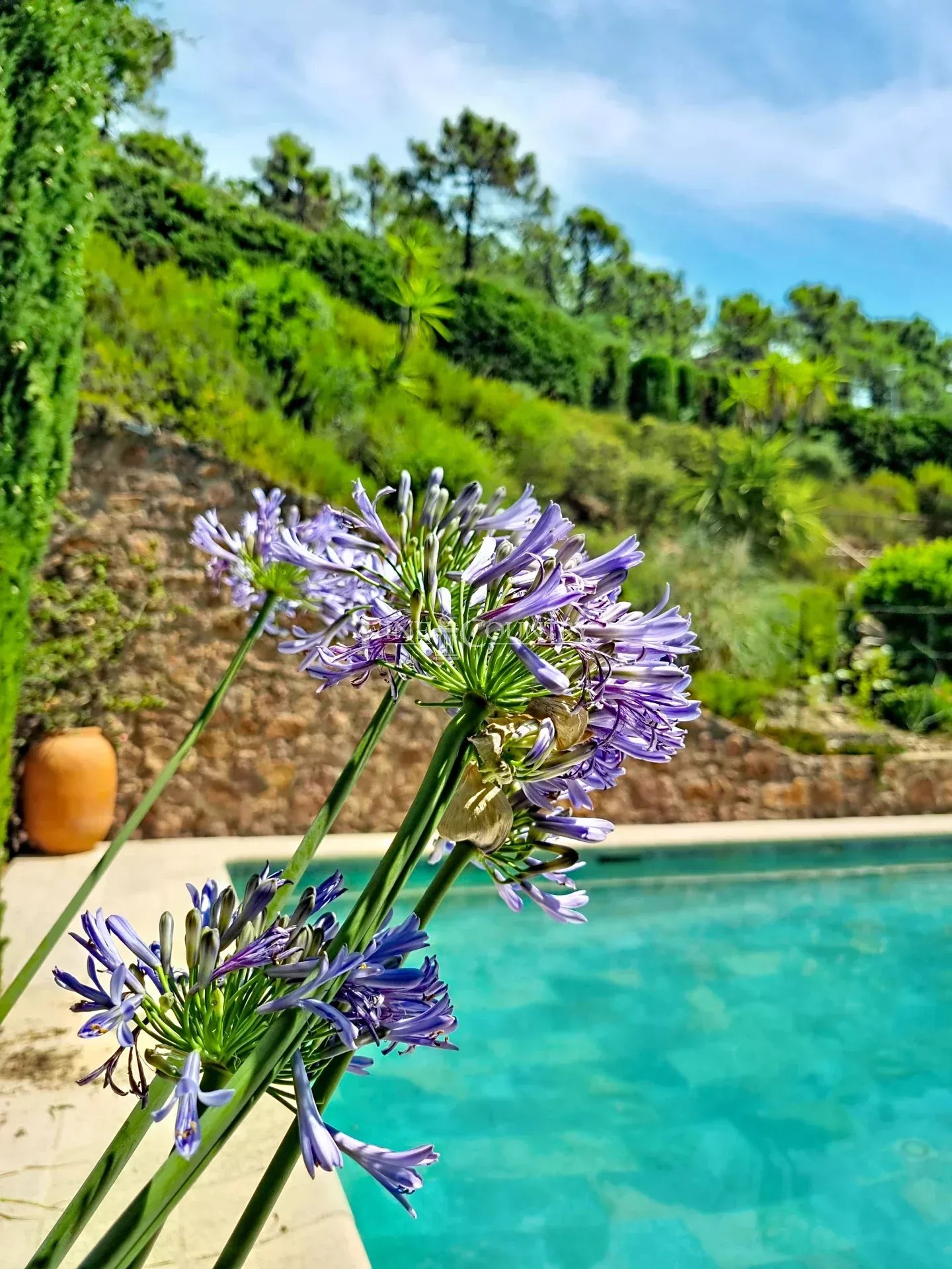 Photo of Villa for sale in Theoule sur Mer