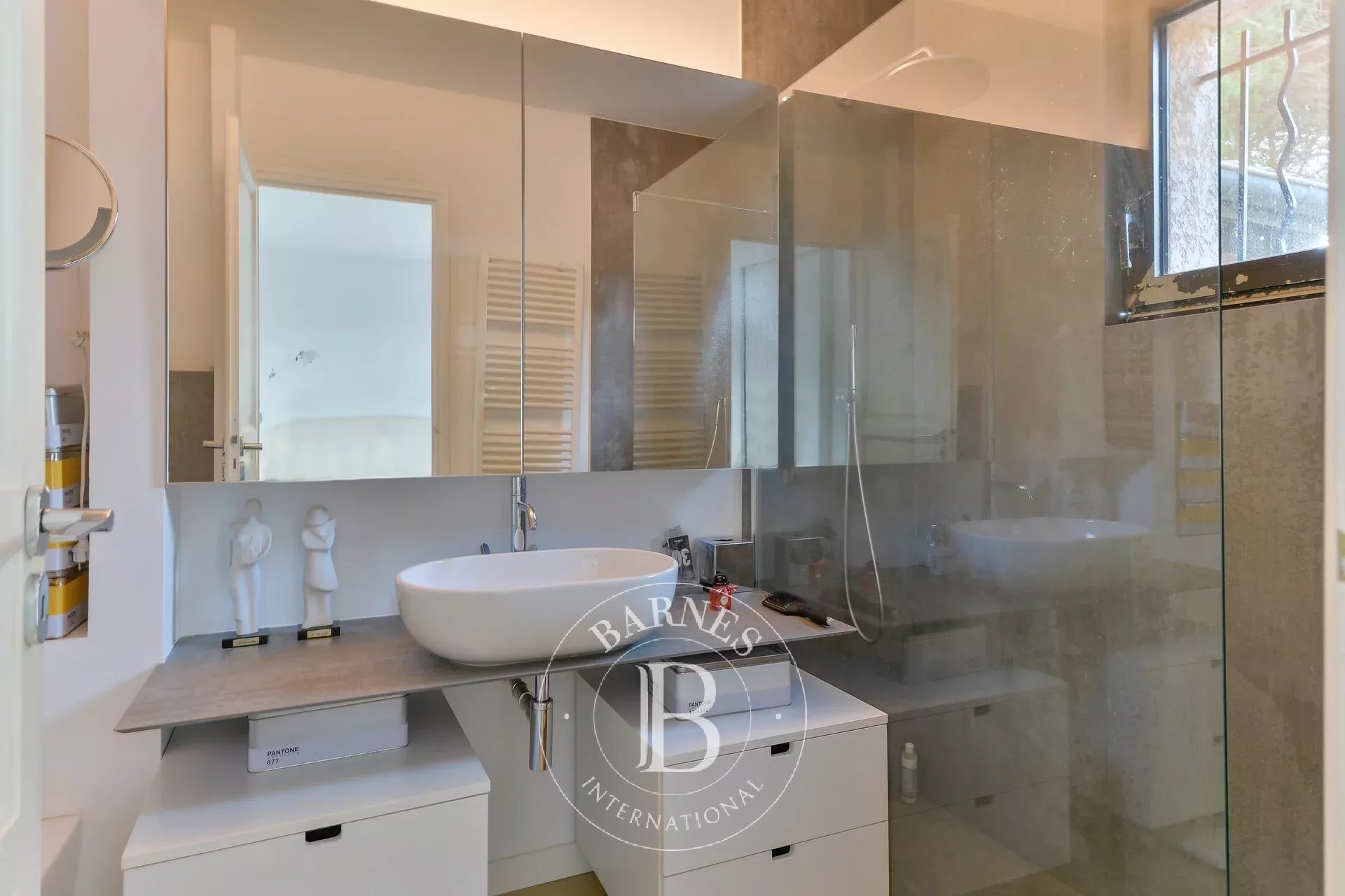 Ev Collonges-au-Mont-d'Or - picture 10