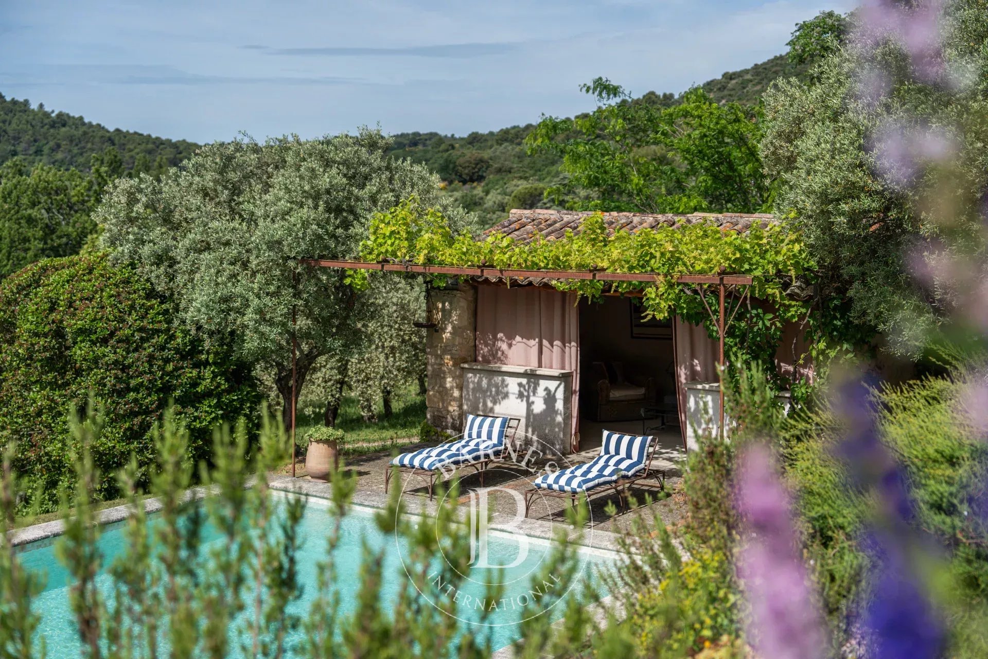 LOURMARIN CENTER - 320m2 - SWIMMING POOL- 1,6 ha - picture 20