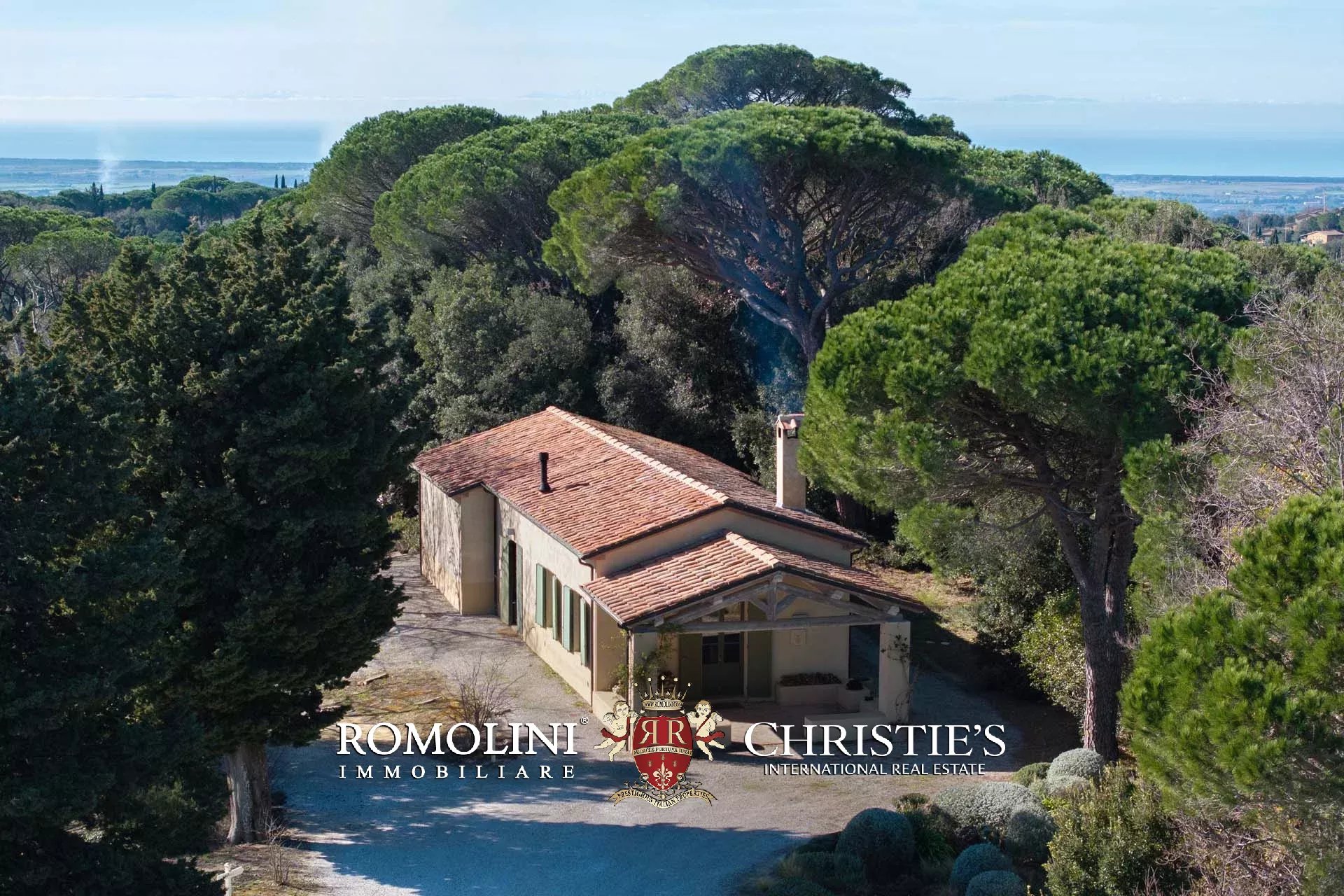 EQUESTRIAN SEA VIEW WINE ESTATE WITH VINEYARDS FOR SALE CLOSE TO BOLGHERI, TUSCANY