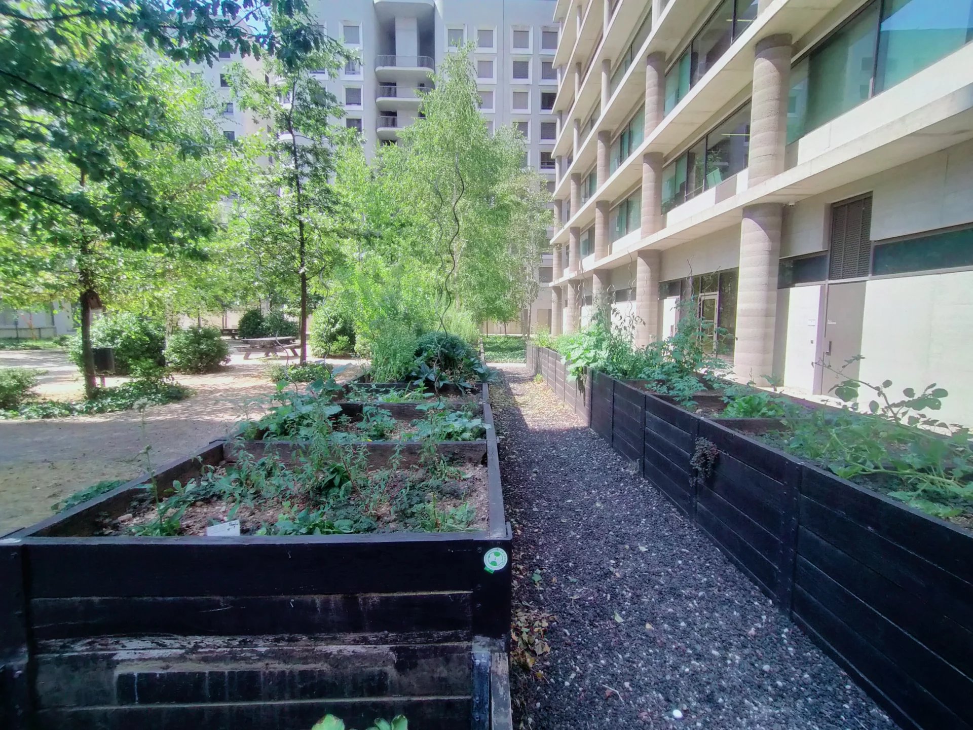 87154747 Location Lyon 2ème