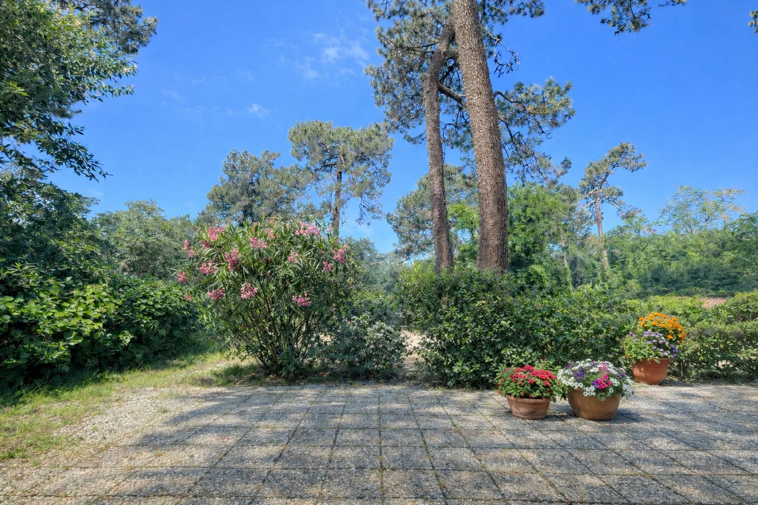 Agence immobilière de Moulleau Immobilier