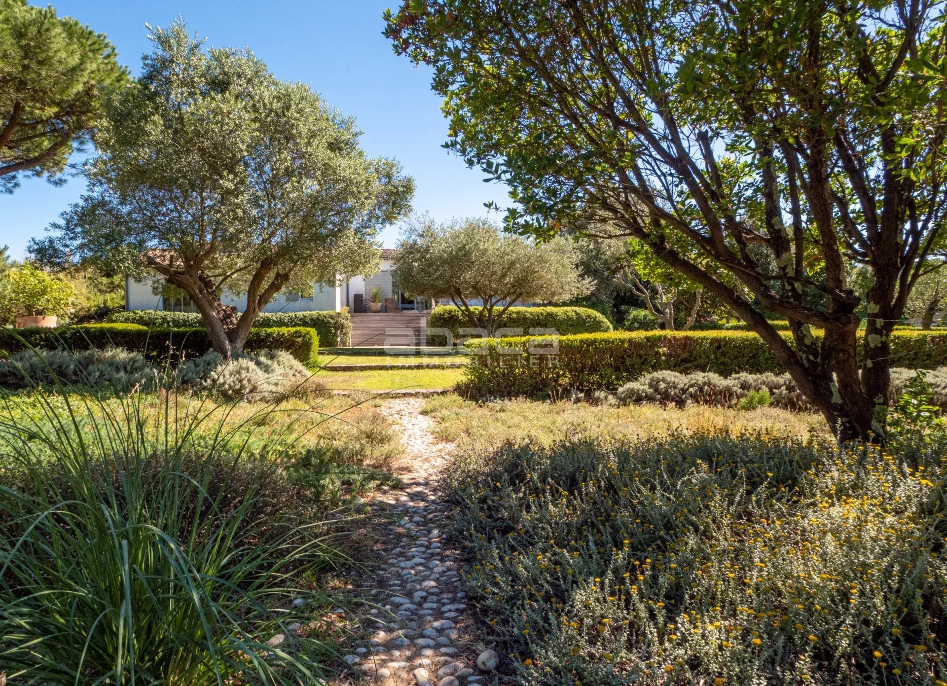 Agence immobilière de 