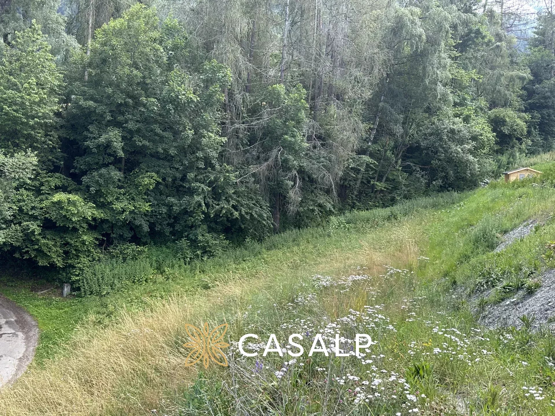 Agence immobilière de CASALP