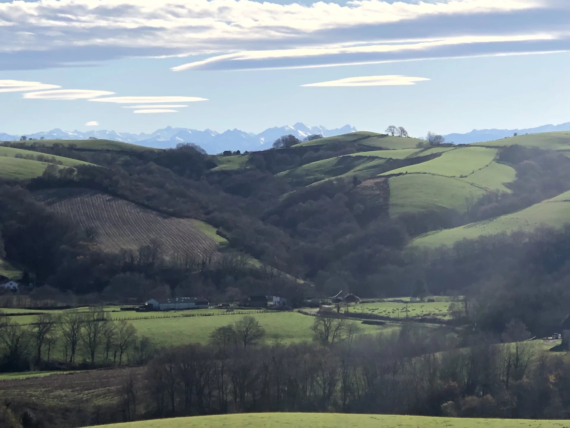 BARDOS, BONITA PROPIEDAD DE CARÁCTER FRENTE A LOS PIRINEOS, TERRENO DE UNOS 5.000 M² CON PISCINA - picture 2